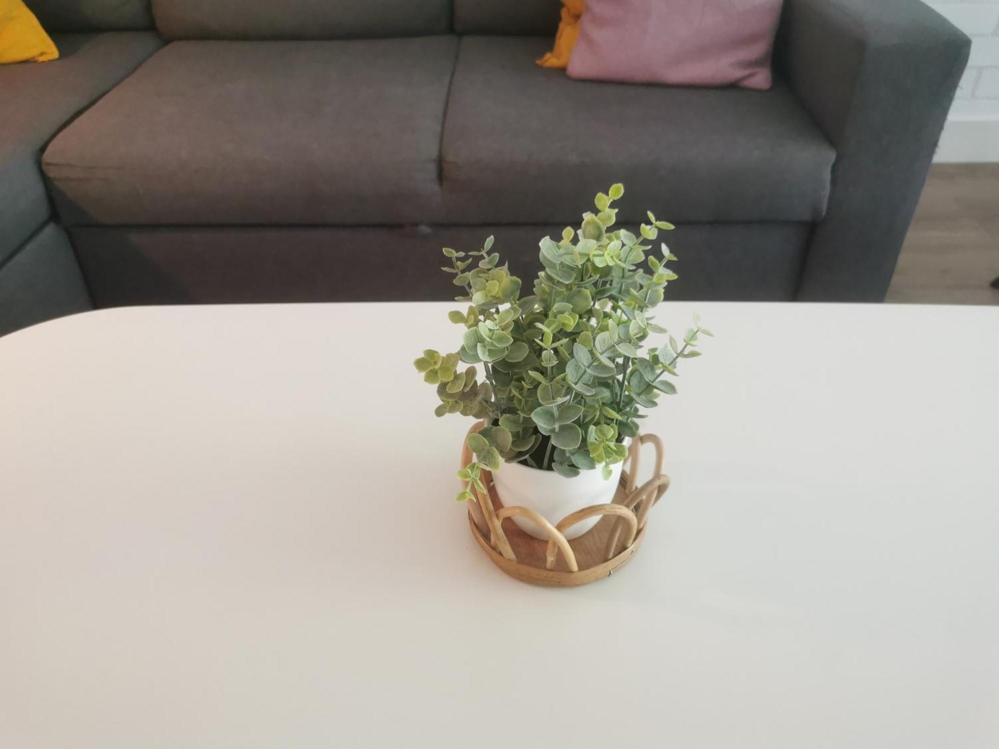 Yerseke Maarten & Hanh 외부 사진